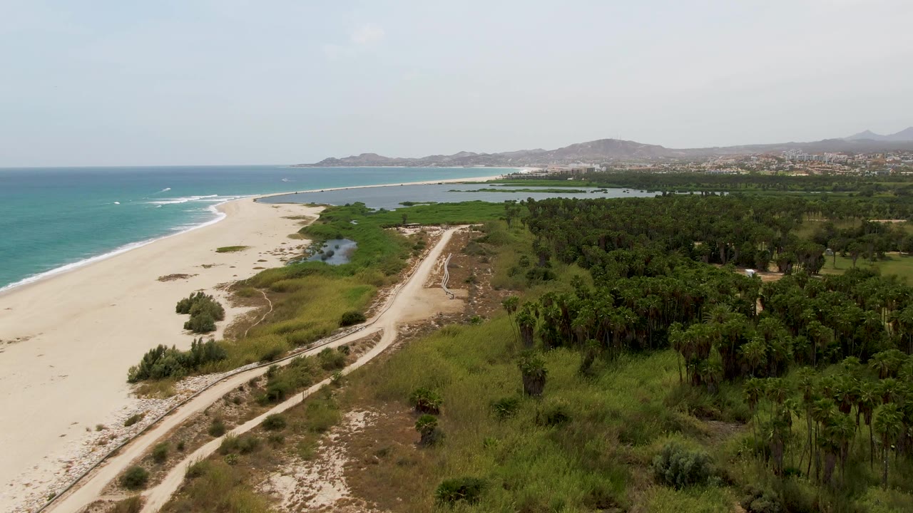 Aerial view of Puerto Los Cabos Beach with the ocean and white surf on the left, a sandy track curving through low vegetation, dark green trees to the right, and no visible people.