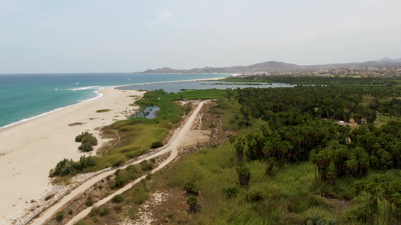 Puerto Los Cabos Beach aerial with pale sand and turquoise water to the left, dune vegetation and a straight sandy road in the middle, inland trees to the right, distant hills, and no visible people.
