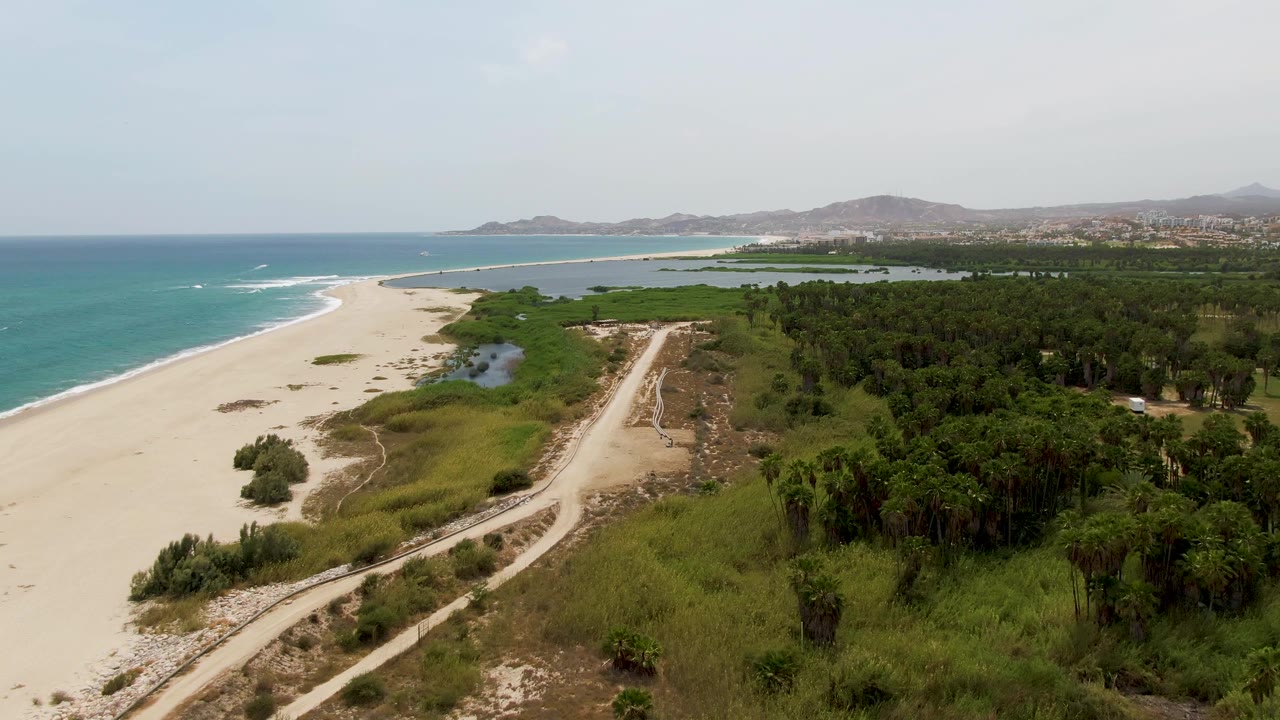 Aerial coastal landscape with surf, dunes, dirt road, trees, and distant shoreline.