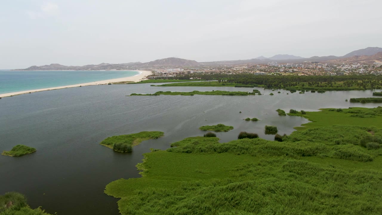 Puerto Los Cabos Beach aerial view with marsh vegetation occupying the lower right, dark lagoon water and reed patches through the center, sandy coast and turquoise ocean to the left, distant town, hills, and no visible people.