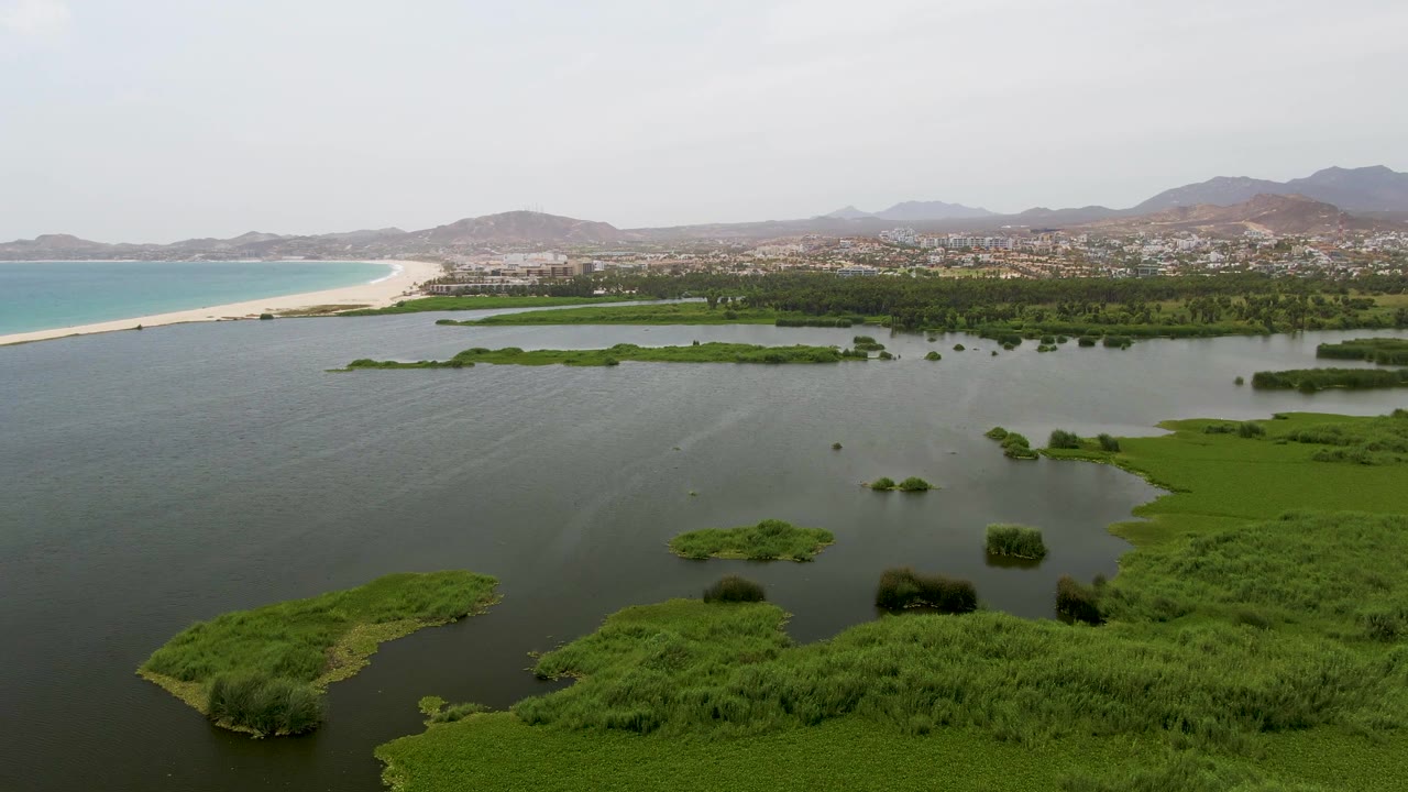 Aerial wetland lagoon with green marshes, sandy beach, town, and mountains