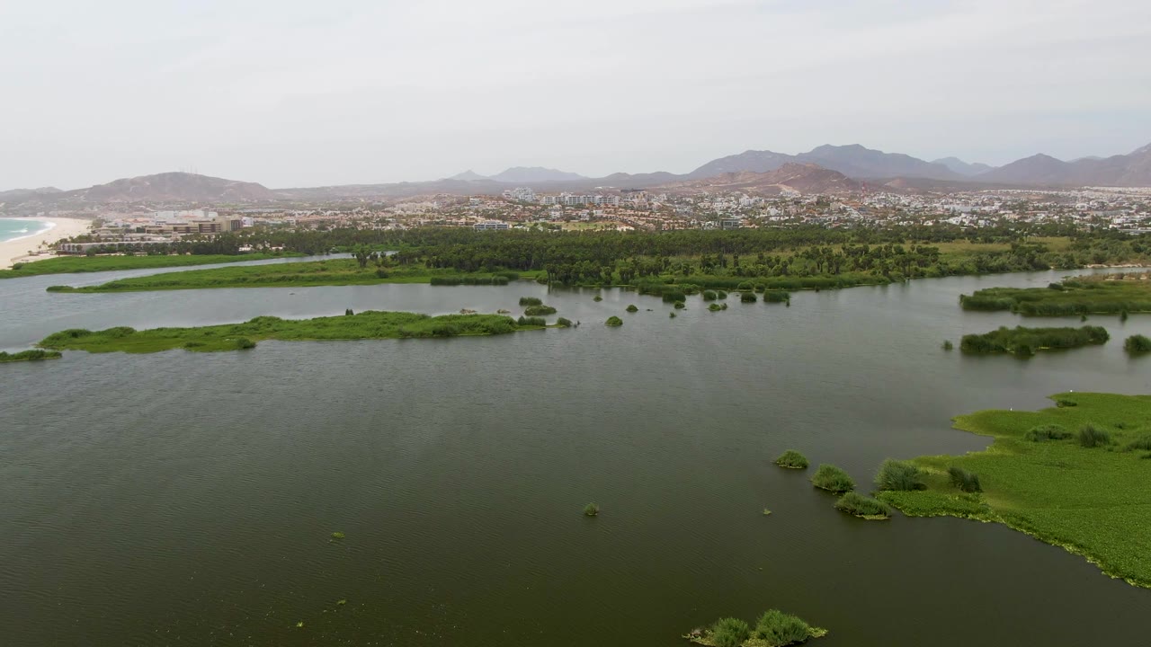 Wetland lagoon with green vegetation, beach edge, distant town, and mountains