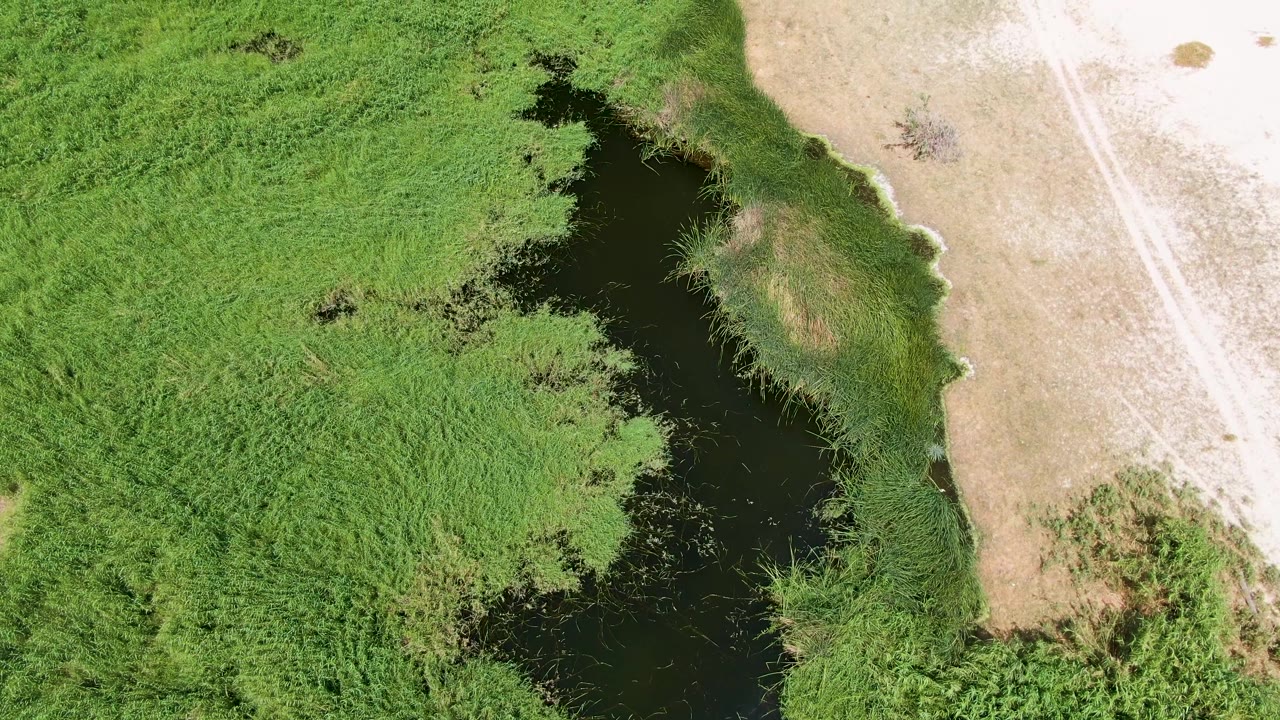 Aerial wetland channel with green vegetation and a dry light-colored field at right.
