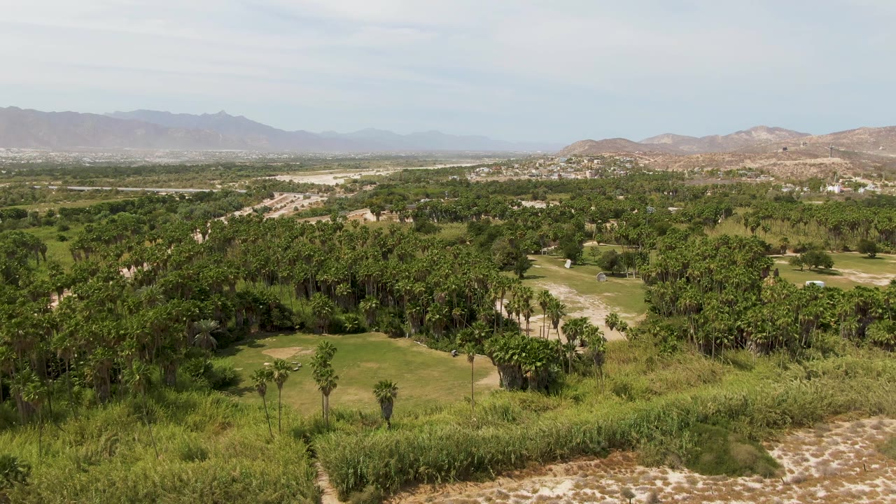 Aerial view over green trees and open grassy terrain with distant mountains.