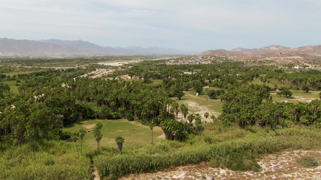 Aerial frame from Puerto Los Cabos Beach, Baja California Sur, with a broad band of trees, open grass patches, low brown hills, distant mountains, and no visible people.