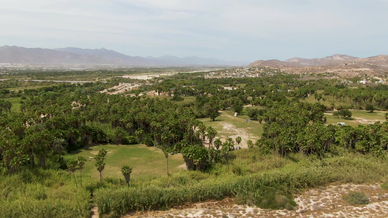 Aerial frame from Puerto Los Cabos Beach, Baja California Sur, showing thick tree cover, small dirt tracks, open grassy clearings, distant mountains, and no visible people.