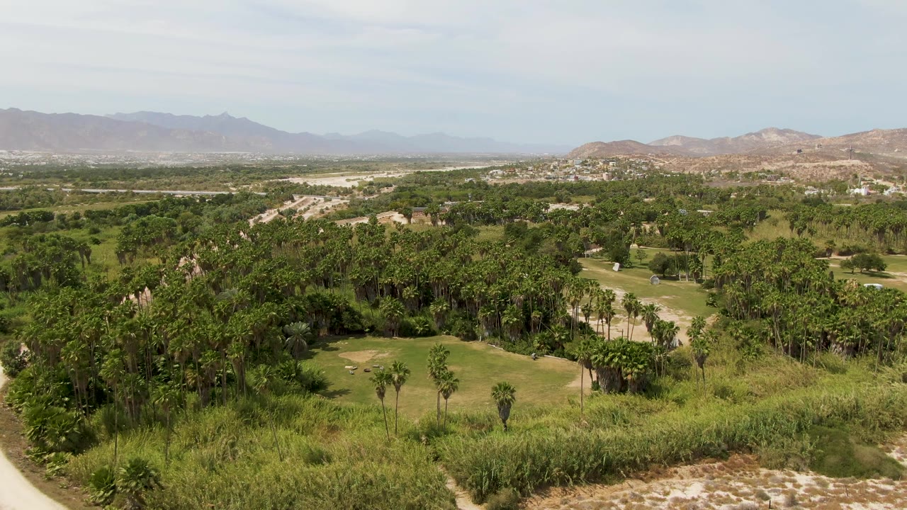 A later Puerto Los Cabos Beach frame showing dry scrub in the foreground, small palms, groomed golf greens, dense tree cover, hazy hills, and no visible people.