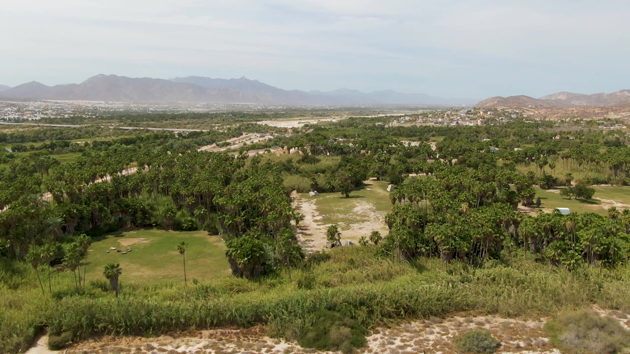 Wide aerial frame over Puerto Los Cabos Beach, Mexico, showing golf fairways and dense trees with scrub in the foreground, hazy mountains on the horizon, and no visible people.