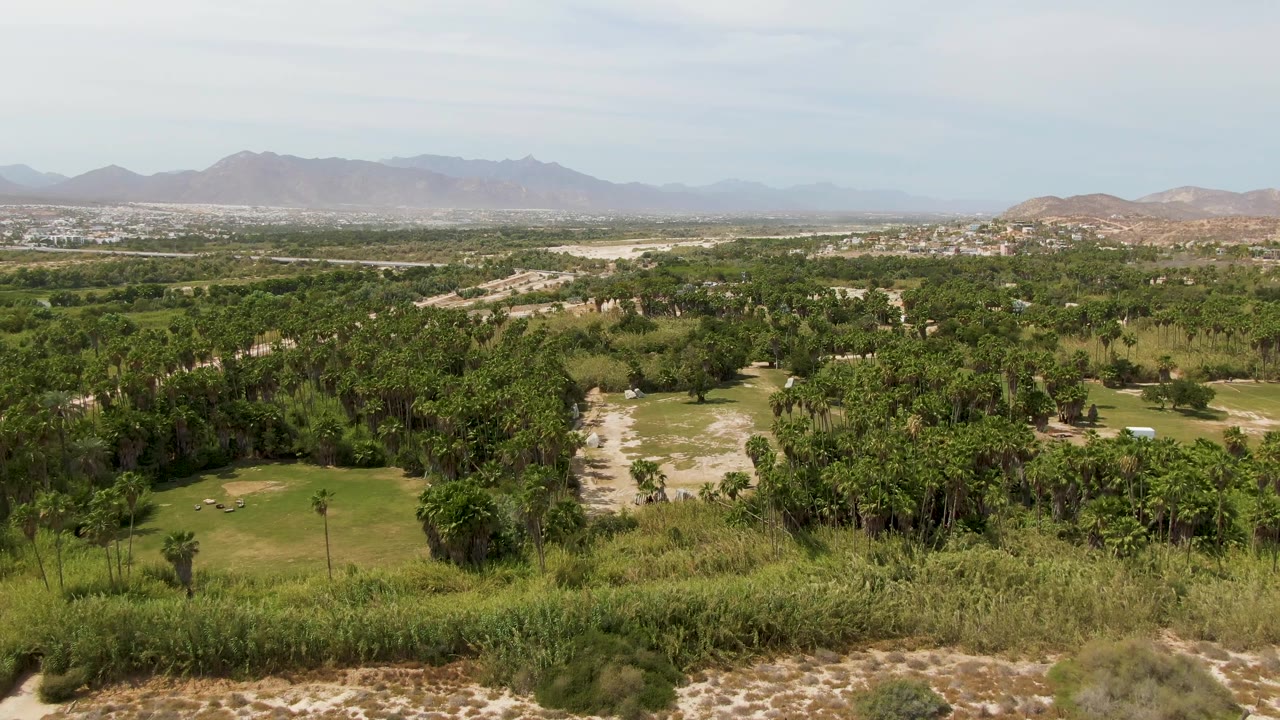 Elevated view at Puerto Los Cabos Beach, Mexico, with golf greens in the lower frame, thick tree cover across the middle, distant hills and mountains beyond, and no visible people.