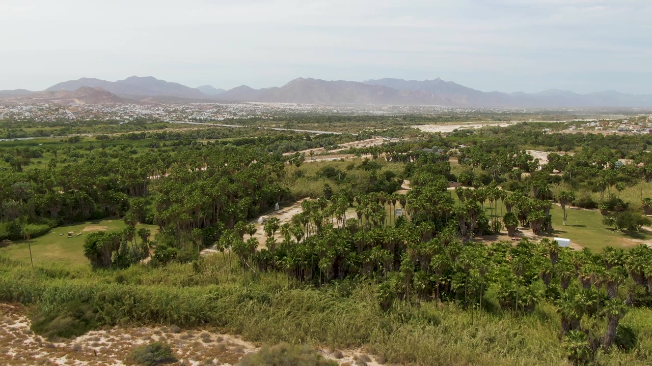 Puerto Los Cabos Beach aerial still with tree canopies, open green fairway areas, light-colored paths or roads, distant settlement, mountains, and no visible people.