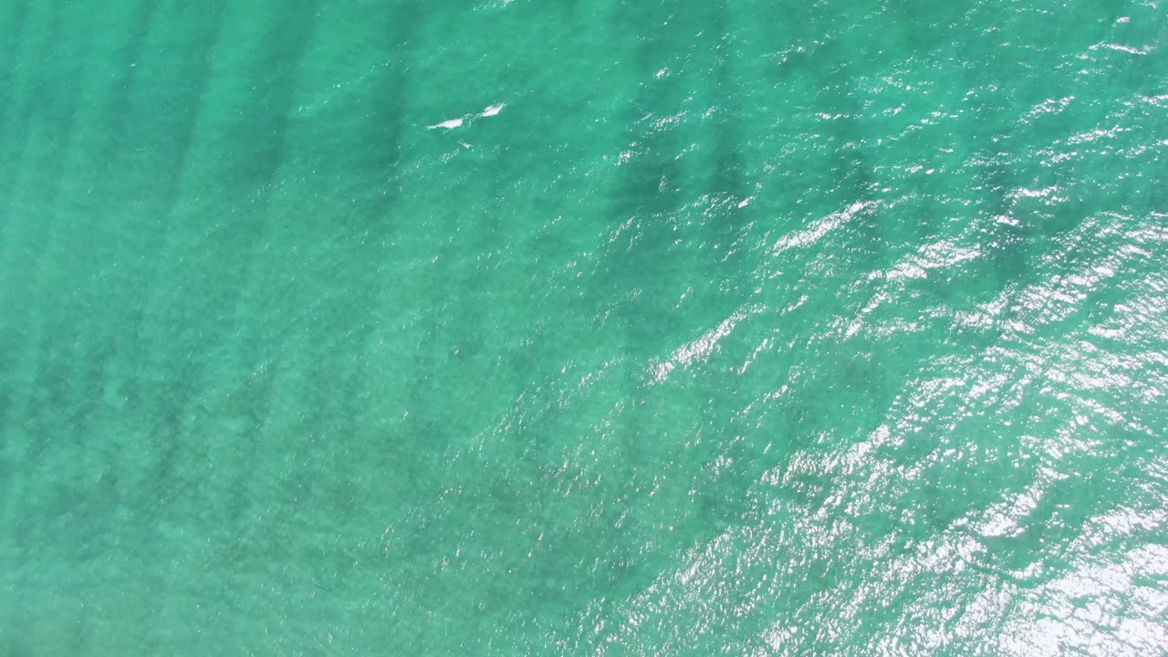 A tiny bird appears over the turquoise ocean surface at Puerto Los Cabos Beach, with sun shimmer and no visible people.