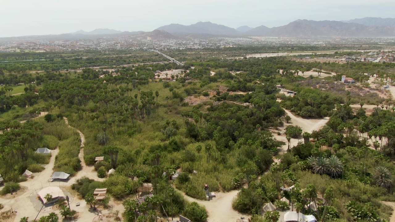 Drone frame over Puerto Los Cabos Beach, Baja California Sur, showing a pale road curving through trees and scrub, small rooftops near the lower edge, distant settlement, mountains, and no visible people.