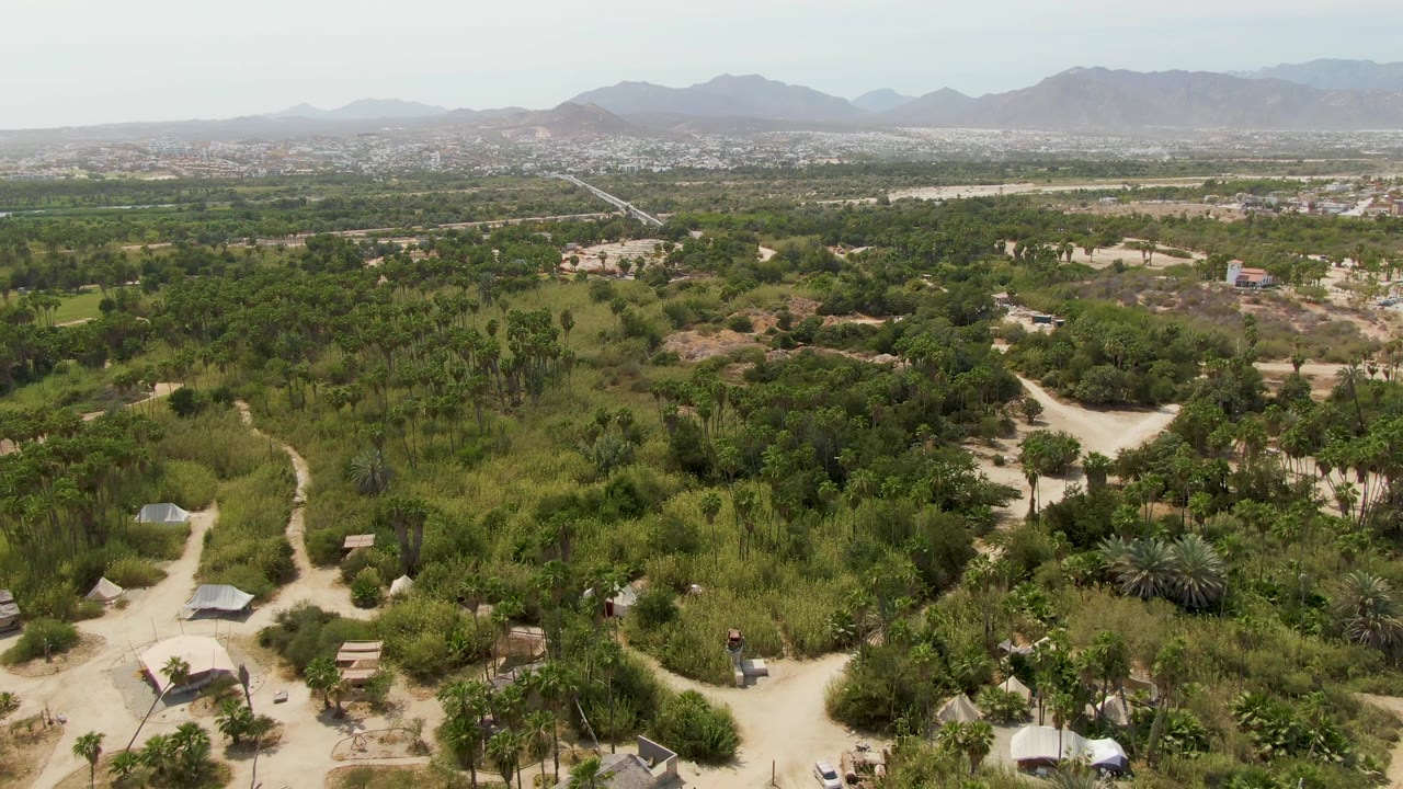 Wide aerial frame in Puerto Los Cabos Beach, Baja California Sur, with branching dirt tracks, dense green tree cover, scattered buildings in the midground, a hazy mountain backdrop, and no visible people.