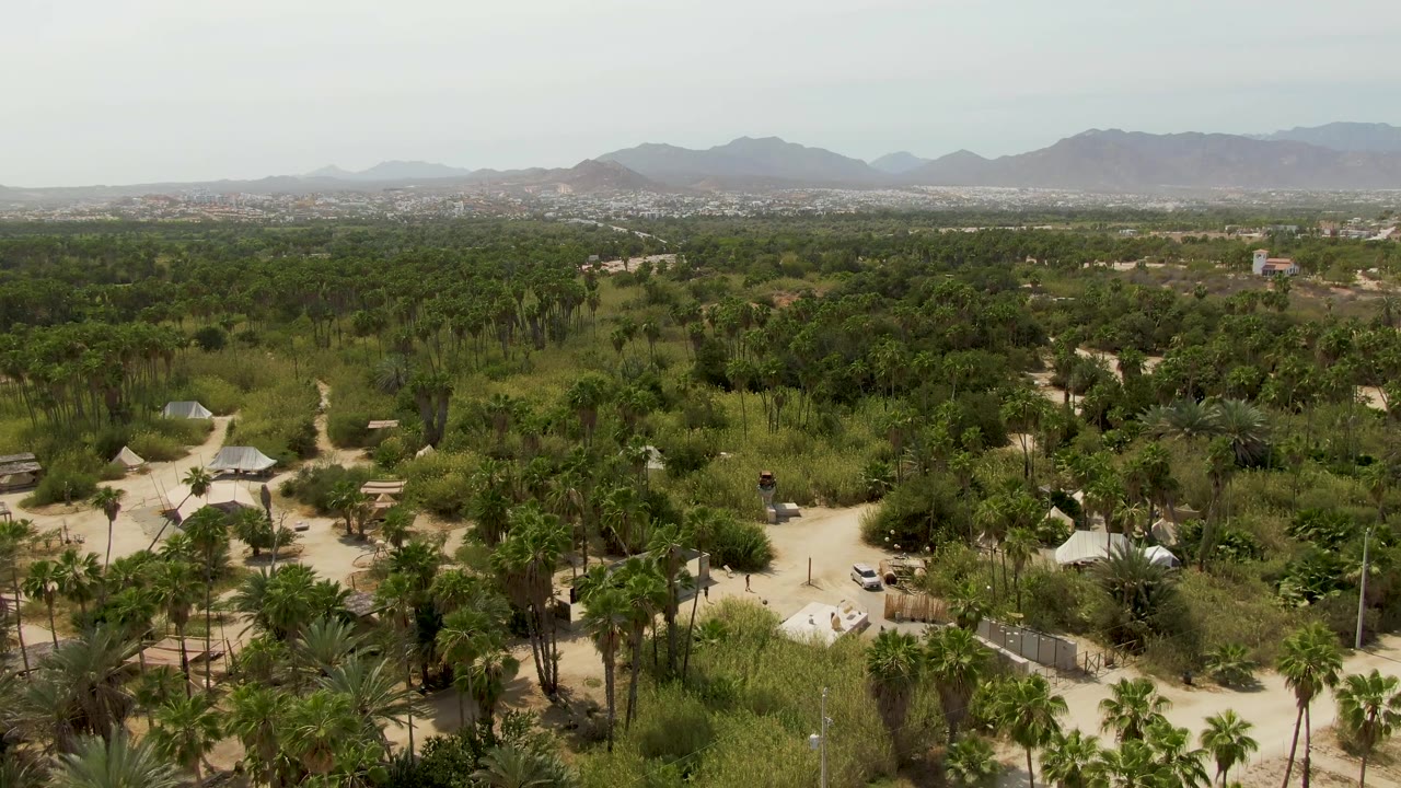Aerial frame over a Puerto Los Cabos Beach palm grove with sandy roads, scattered small structures, hazy mountains on the horizon, and no visible people.