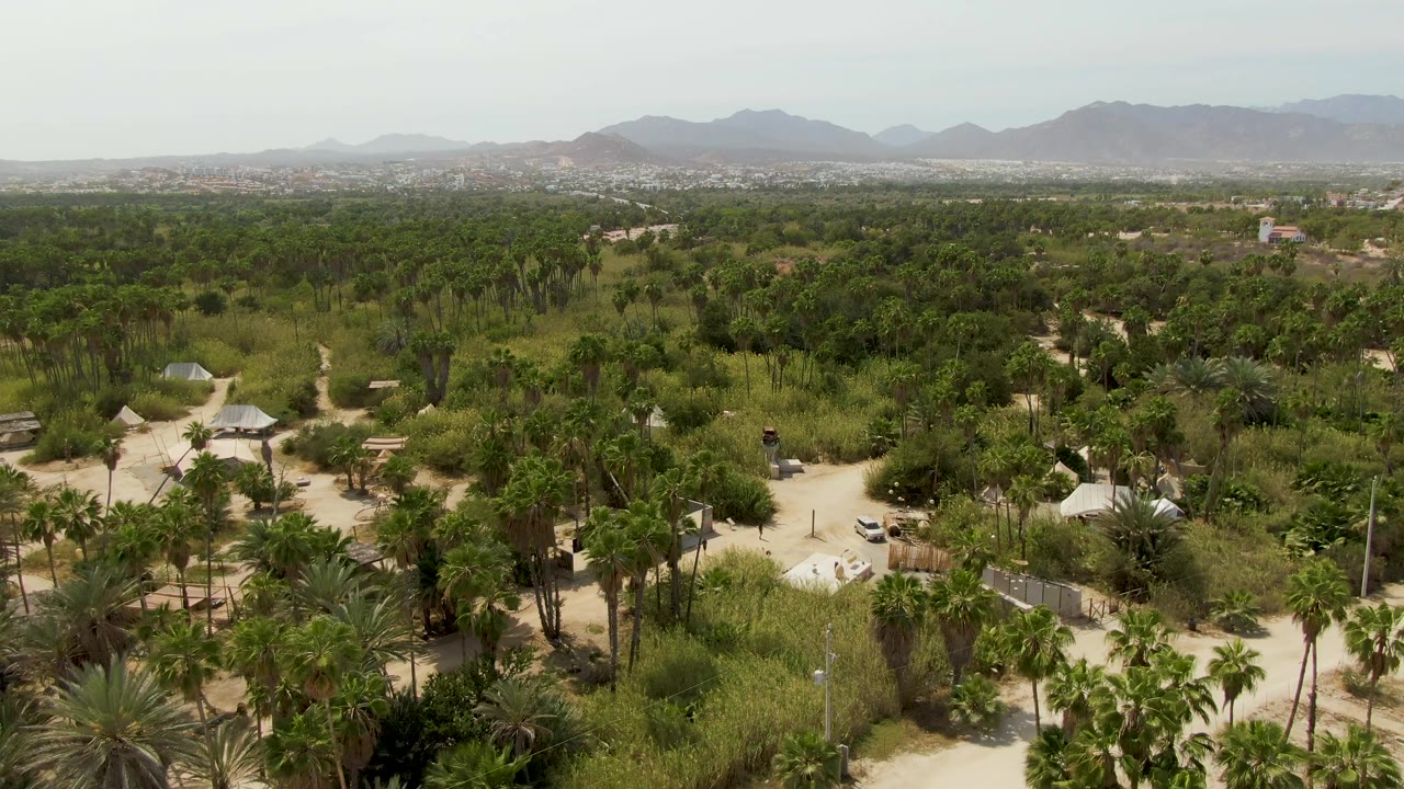 High aerial view at Puerto Los Cabos Beach showing palms and scrub around pale dirt roads, with low buildings and mountains in the far background and no visible people.