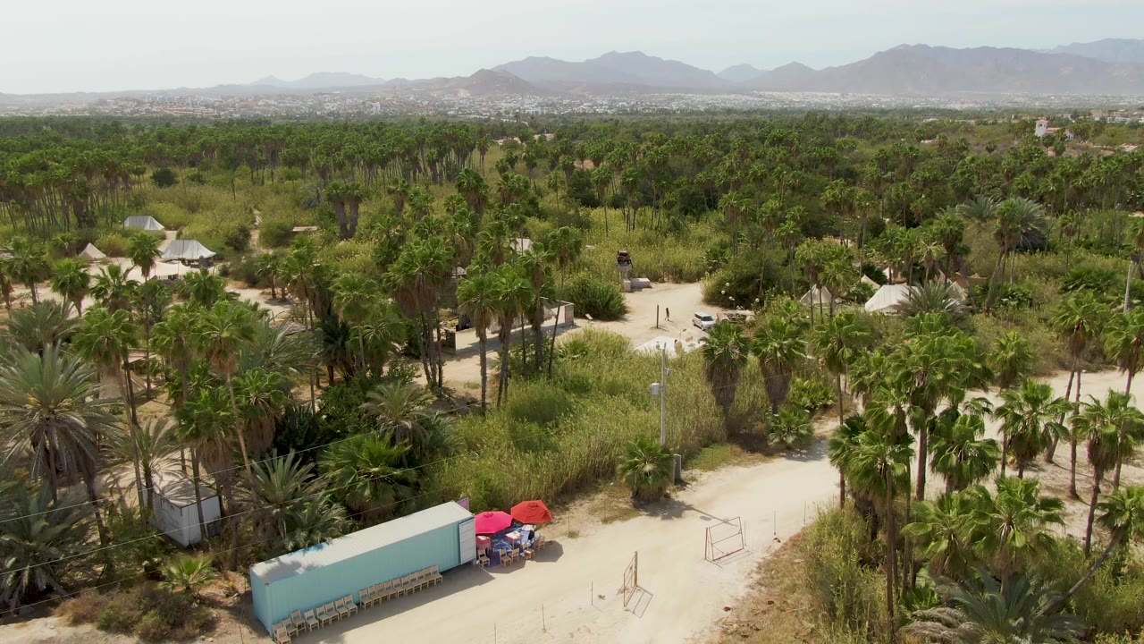 Aerial frame from Puerto Los Cabos Beach, Baja California Sur, showing a palm plantation with a dirt road, blue container, red umbrellas, distant mountains, and no visible people.