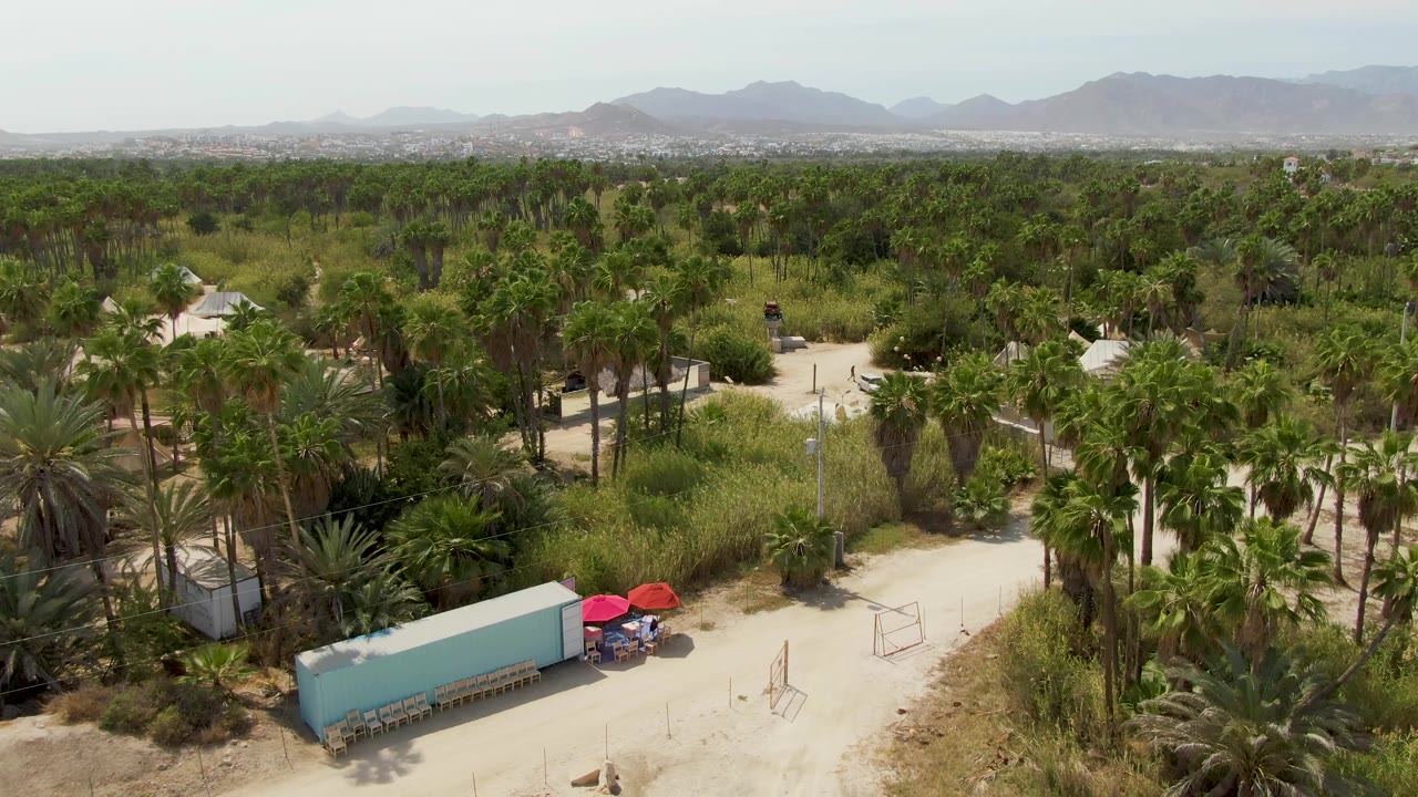 Mid-clip aerial view in Puerto Los Cabos Beach with the blue container and red umbrellas along the dirt road, dense palms stretching toward a hazy city and mountain backdrop, and no visible people.