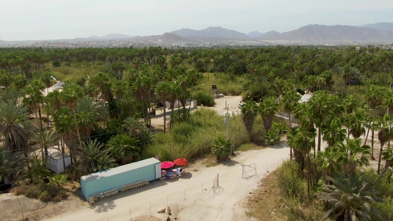 Wide aerial landscape of palms, dry road, blue container, red umbrellas, and mountain horizon.