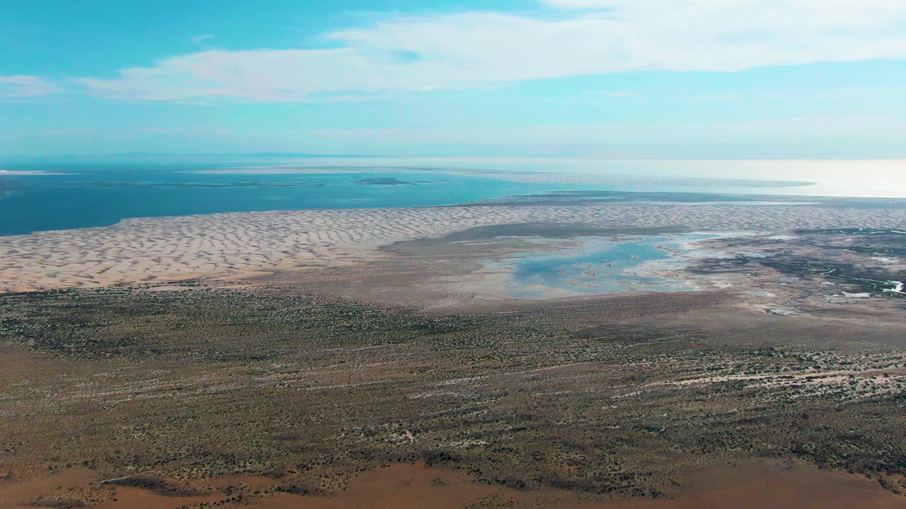 Wide aerial frame over Guerrero Negro with textured sandbars near the waterline, wetland vegetation across the lower frame, bright blue sky, and no visible people.