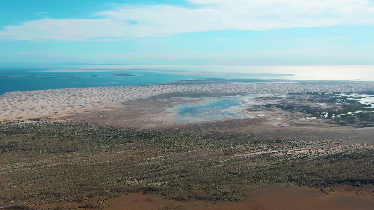 Aerial view in Guerrero Negro, Baja California Sur with foreground desert vegetation, broad brown tidal flats, pale dune ridges, blue coastal water, and no visible people.