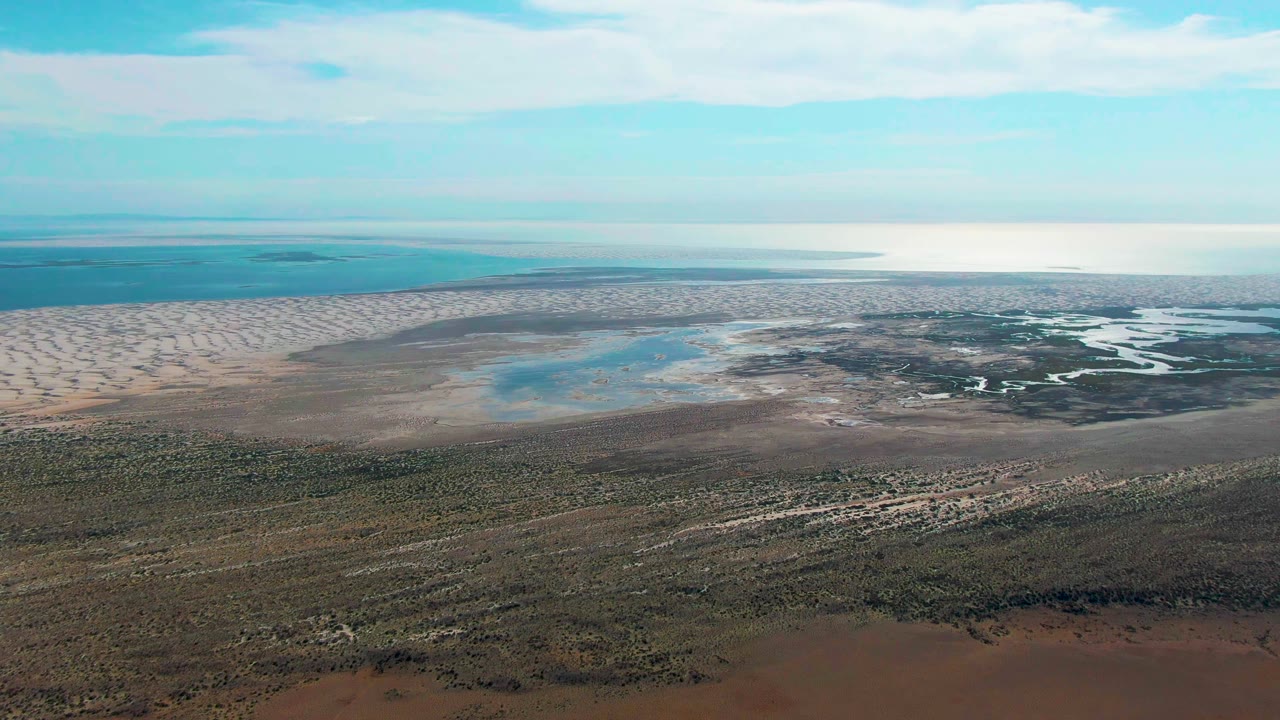 The Guerrero Negro coastline remains in a wide aerial composition, with sparse vegetation in the lower frame, tidal pools across the middle, distant water at the horizon, and no visible people.