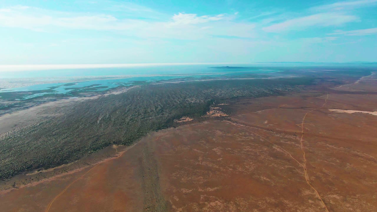 High aerial frame over Guerrero Negro showing the dry brown field in the foreground, green forest across the center, pale coastal water at upper left, and no visible people.