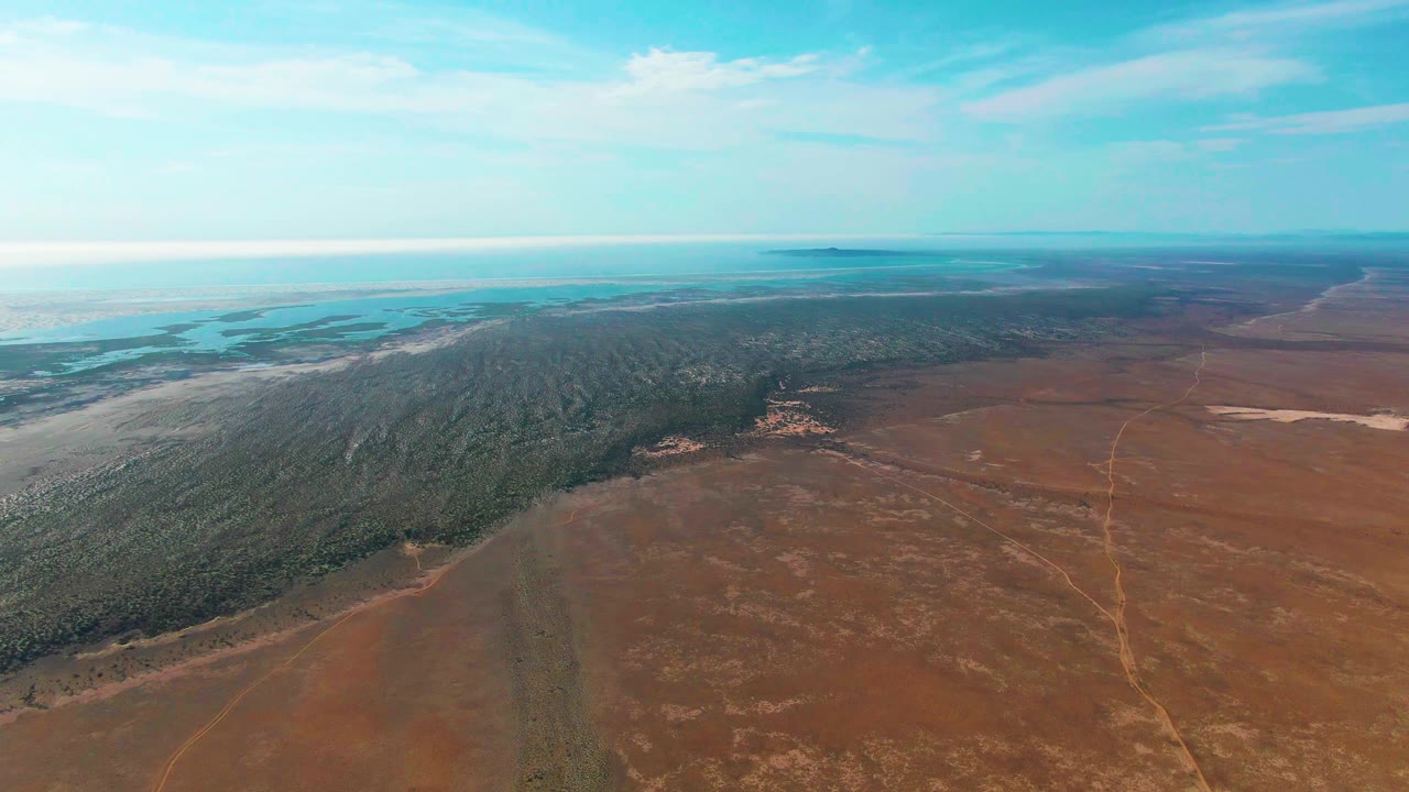 Aerial view in Guerrero Negro with a broad reddish field, a diagonal dark green forest band, faint tracks across the open land, distant water, and no visible people.