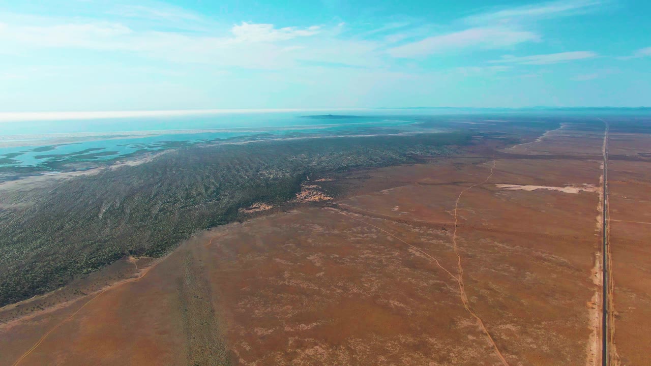 At 0:01, the Guerrero Negro aerial view keeps the forest mass across the left and center, the brown field in the foreground and right side, a pale patch of land near the road, distant water tones, and no visible people.