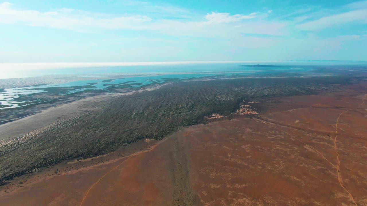 Wide aerial frame over Guerrero Negro, Baja California Sur, with brown arid land in front, a dark forest band, pale water near the horizon, and no visible people.