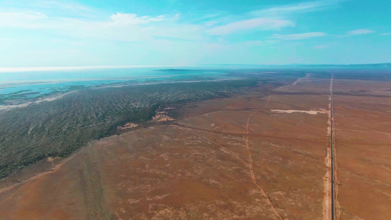 Aerial frame over Guerrero Negro showing the green vegetation band spreading across the left side, brown open terrain below, the straight road near the right edge, distant pale water, and no visible people.