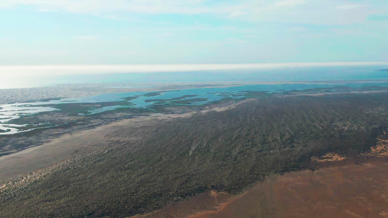 High aerial frame over Guerrero Negro, Baja California Sur, showing brown arid foreground, a dark green forested shoreline, reflective wetland channels, blue coastal water, and no visible people.