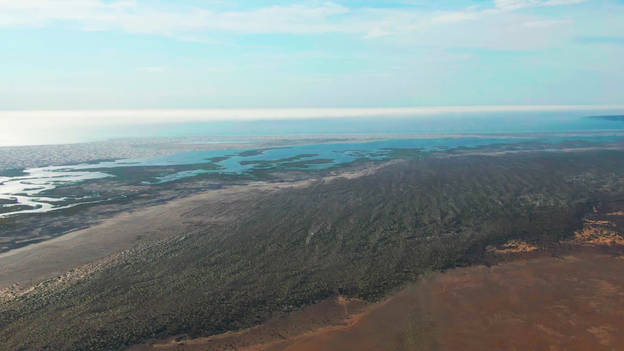 Aerial view in Guerrero Negro, Baja California Sur, with brighter reflective wetland channels on the left, dense green shoreline vegetation through the center, brown terrain below, and no visible people.