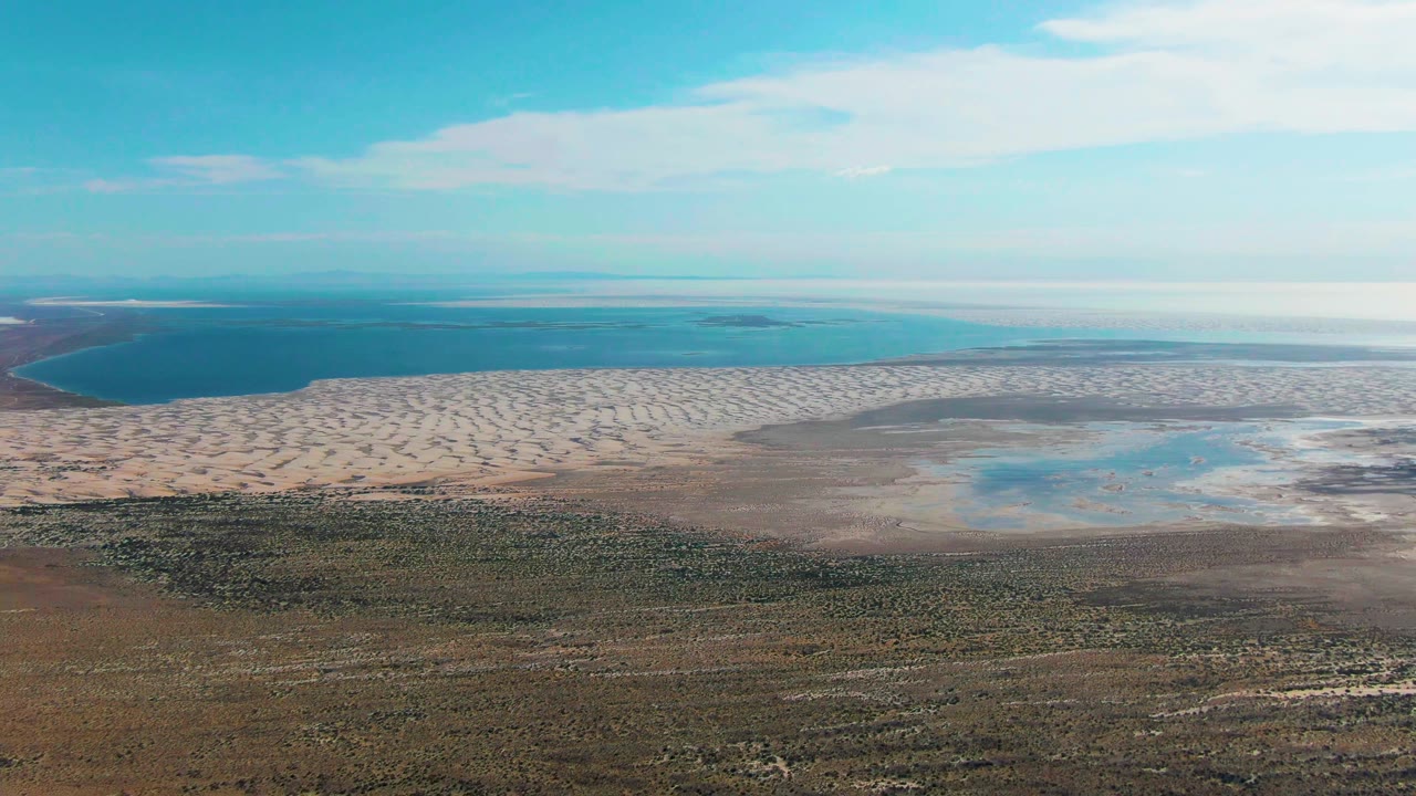 Wide aerial frame in Guerrero Negro showing the ocean band across the background, pale sand and shallow water through the middle, textured inland vegetation in front, and no visible people.