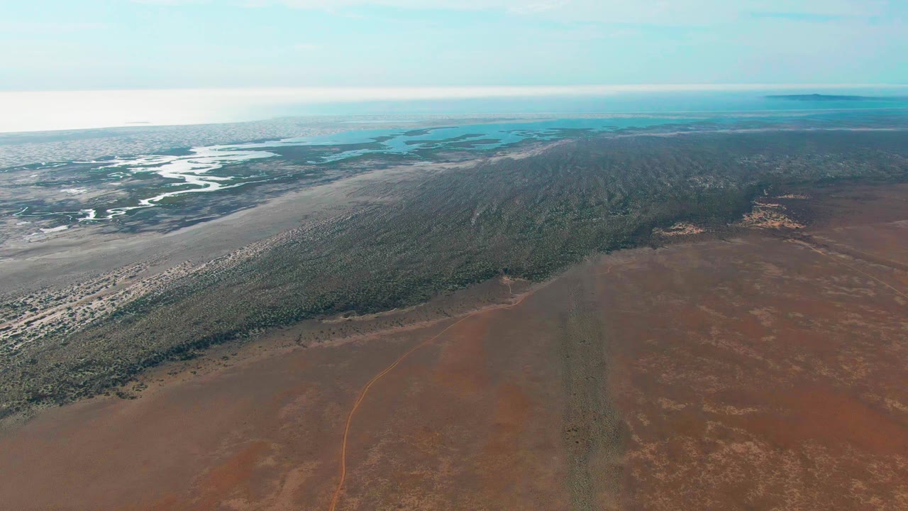 Aerial view in Guerrero Negro, Baja California Sur, looking across reddish terrain toward a long green forest strip, winding pale water channels on the left, distant blue water, and no visible people.
