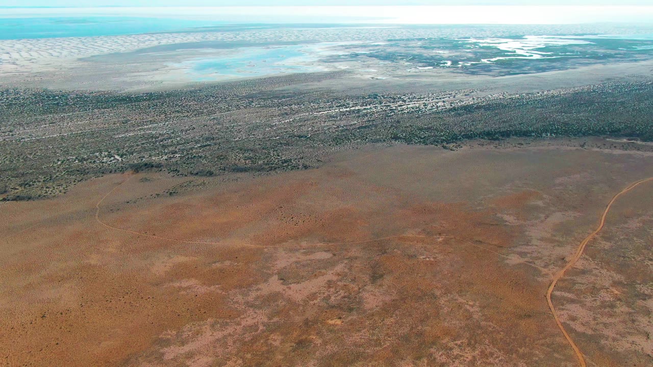 Aerial desert foreground with vegetation and pale blue water in the distance