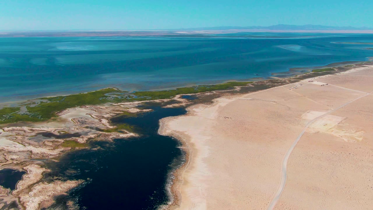 Wide aerial frame over Guerrero Negro with the ocean horizon high in the shot, pale sand below, dark shallow water cutting into the shoreline, green vegetation, and no visible people.