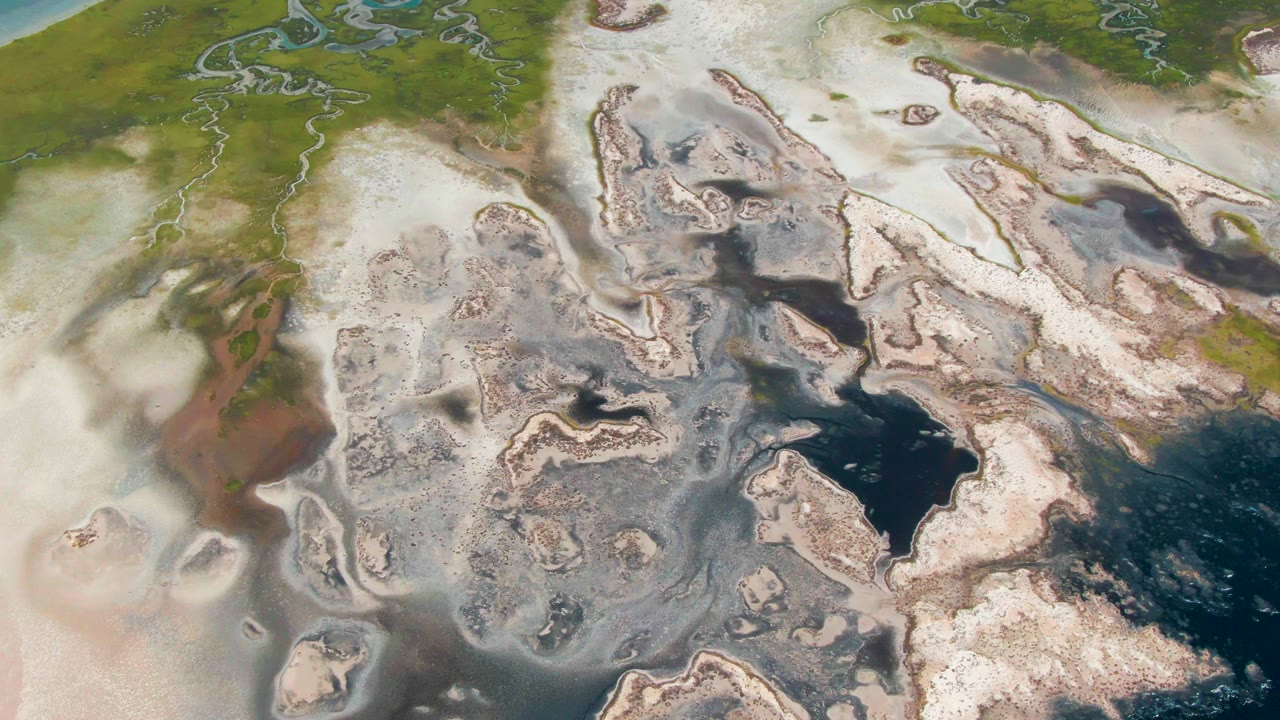 High aerial view in Guerrero Negro, Baja California Sur, showing green marsh at the upper edge, pale salt-toned flats, drifting fog, and dark pools, with no visible people.