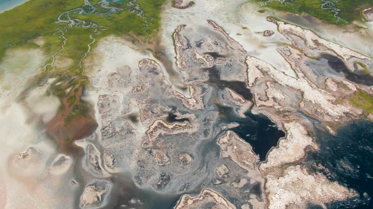 Aerial frame from Guerrero Negro, Baja California Sur, where fog crosses pale wetland flats beside dark water basins and green marsh vegetation, with no visible people.