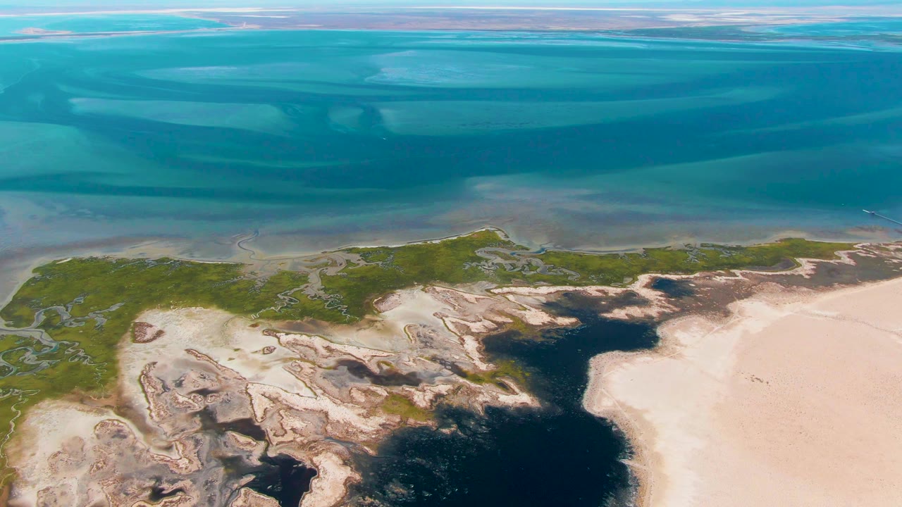 Aerial view of Guerrero Negro coastal water meeting pale sand and green shoreline vegetation at the start of the clip, with no visible people.