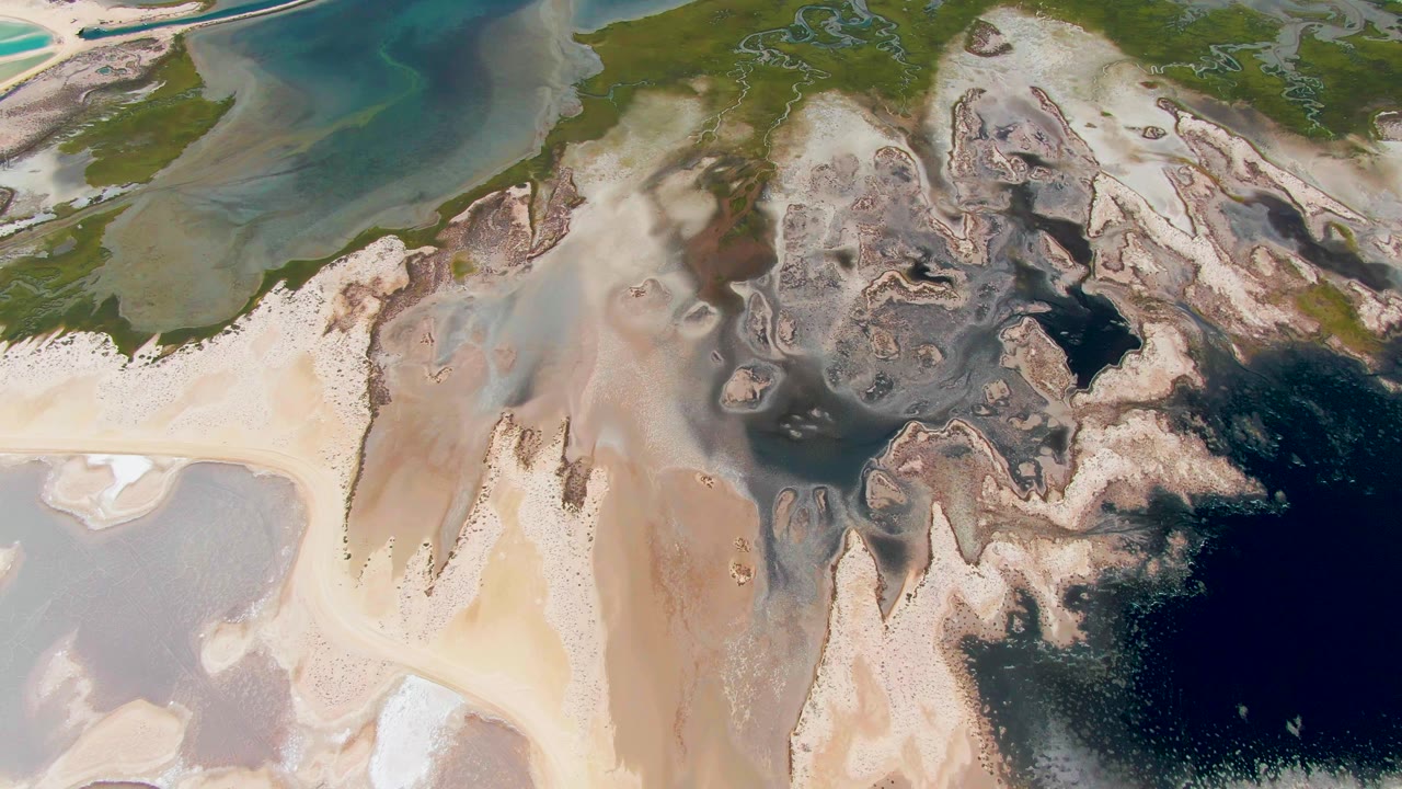 Aerial frame over Guerrero Negro showing a broad sandy delta fan, mottled gray-brown sediment, green shoreline vegetation, and blue-green water, no visible people.