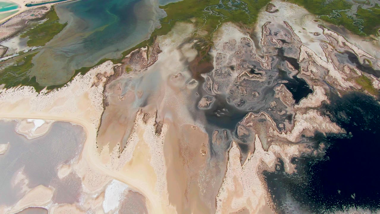 Aerial view in Guerrero Negro with a pale sandy shore on the left, mottled brown shallows through the center, green wetland at the top, and dark blue water at the lower right, no visible people.