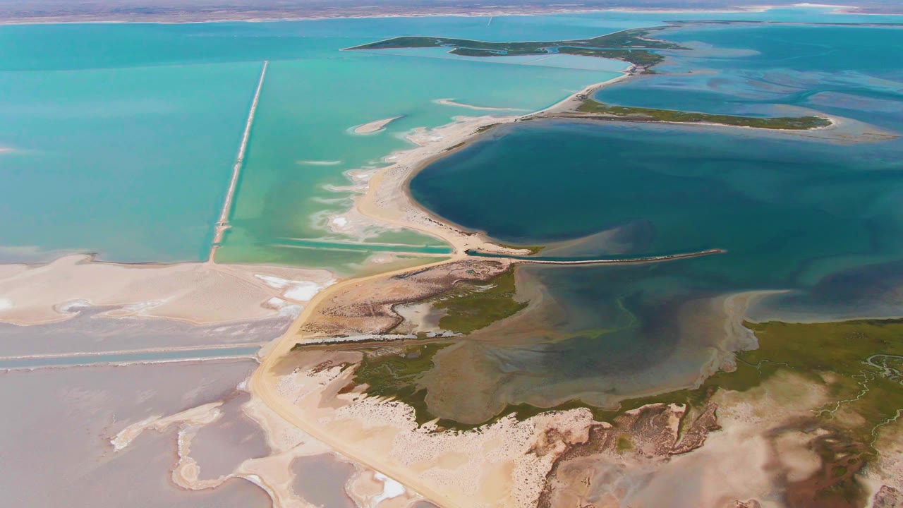 High aerial view of salt flats, lagoon edge, green marsh, and road