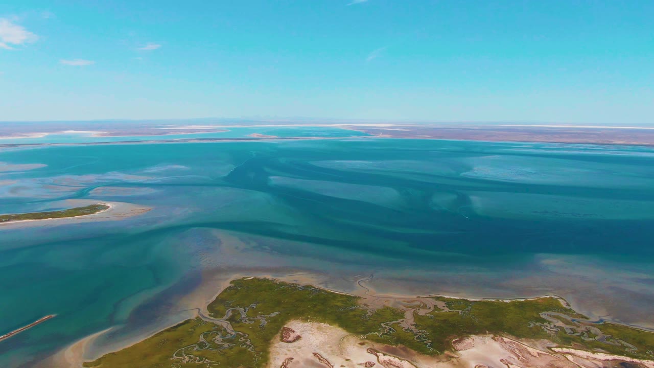 Opening aerial frame over Guerrero Negro coastal water with green vegetation along the lower edge, pale sand flats, blue-green channels, distant shoreline, clear sky, and no visible people.