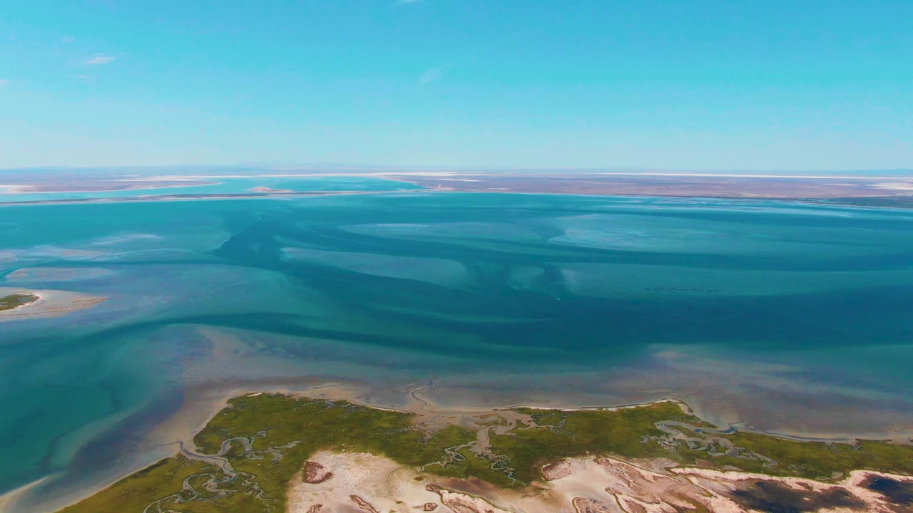 Coastal wetland channels with shallow sand flats and a clear blue sky.