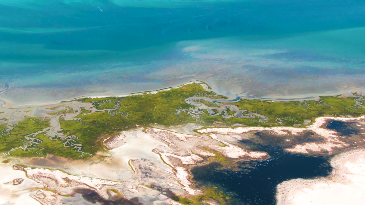 Aerial view in Guerrero Negro where turquoise shallows meet a green wetland strip, with pale exposed sand and dark pooled water filling the lower frame and no visible people.
