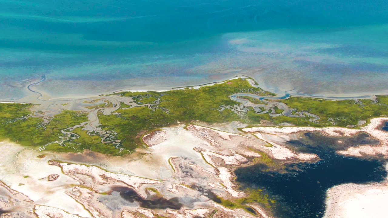 Aerial view in Guerrero Negro, Baja California Sur, with winding shallow channels crossing green marsh and pale sand beside clear turquoise coastal water, with no visible people.