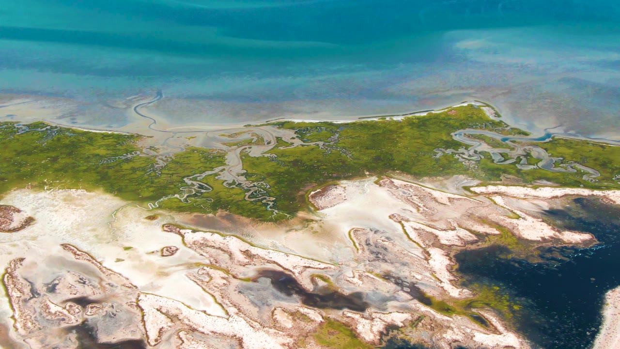 Aerial view of green marsh, pale tidal flats, and turquoise coastal water.