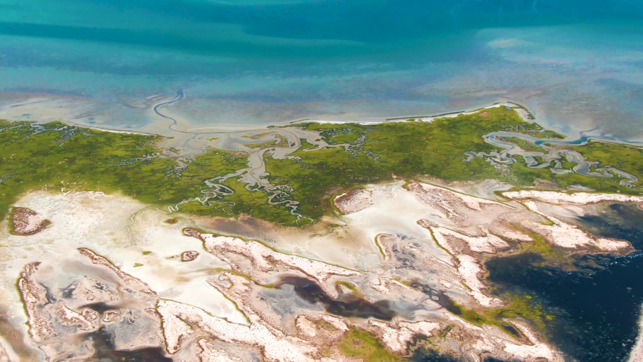 Aerial view in Guerrero Negro, Baja California Sur with winding tidal channels crossing green marsh, pale flats in the foreground, and turquoise water beyond, with no visible people.