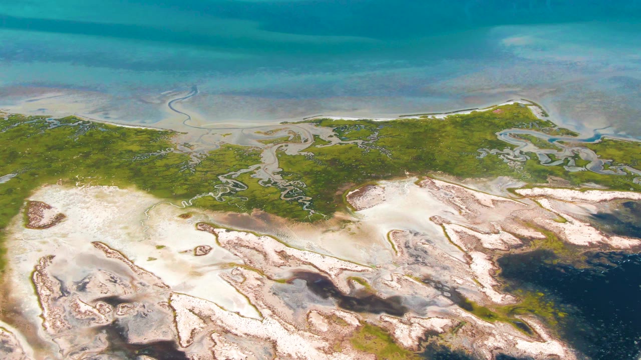 Overhead frame from Guerrero Negro, Baja California Sur showing a green marsh edge, branching water channels, pale exposed flats, and blue-green shallow sea, with no visible people.
