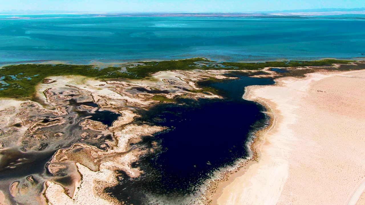 Aerial frame over Guerrero Negro showing a dark lagoon edged by pale sand and muddy tidal flats, with low green vegetation and blue ocean beyond, no visible people.